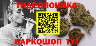 ГАЛЛЮЦИНОГЕННЫЕ ГРИБЫ Малоярославец