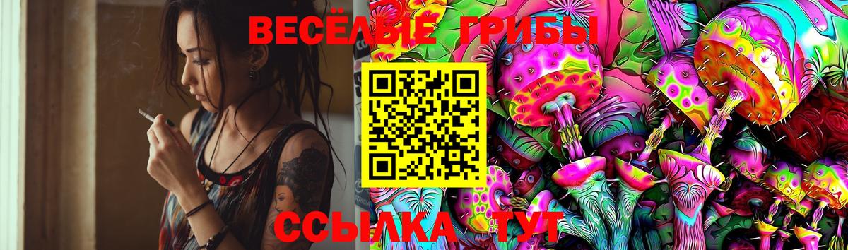 Гулькевичи  Галлюциногенные грибы MAGIC MUSHROOMS  Вход с VPN 