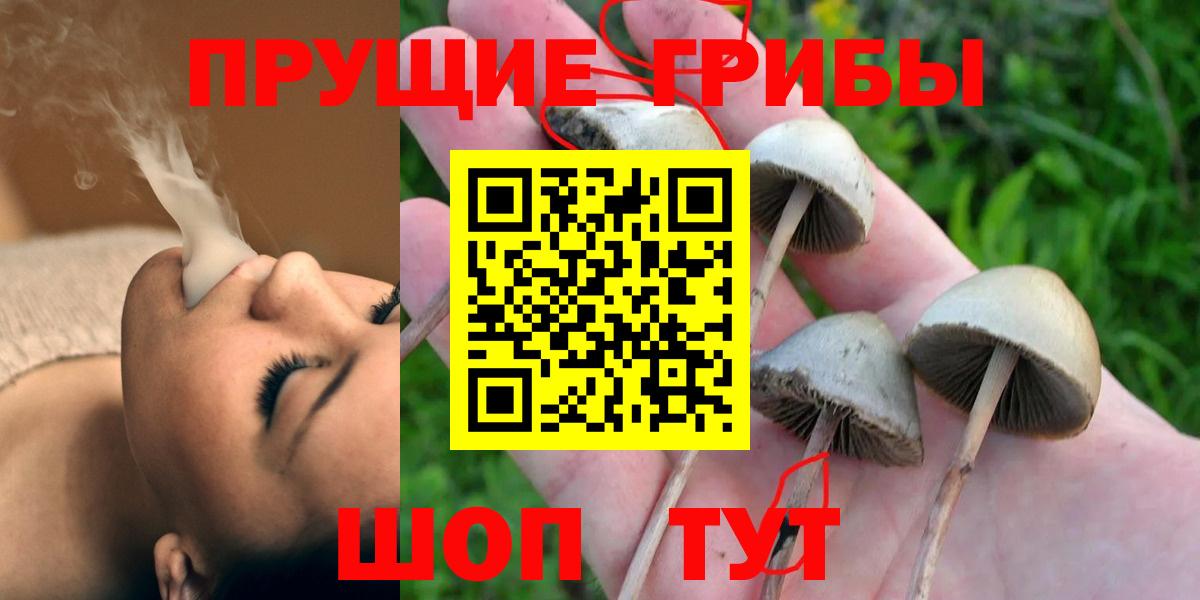Галлюциногенные грибы MAGIC MUSHROOMS Гулькевичи